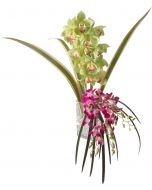 Tropical Cymbidium Orchid Spray