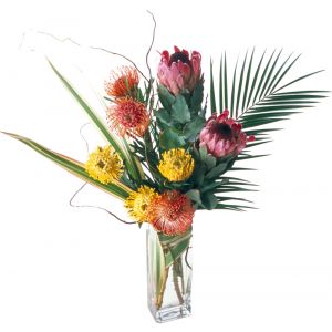 Tropical Protea Starburst