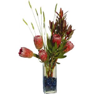 Safari Sunset Proteas