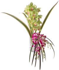 cymbidium and red sonja orchid bouquet