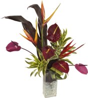 anthurium and heliconia bouquet