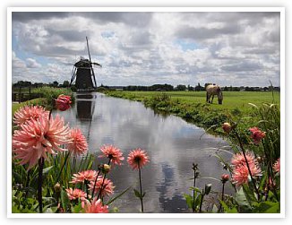 Historic windmill with flowers in foreground