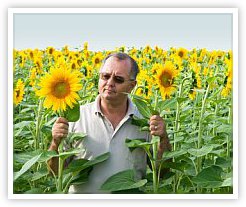 Sunflower Grower